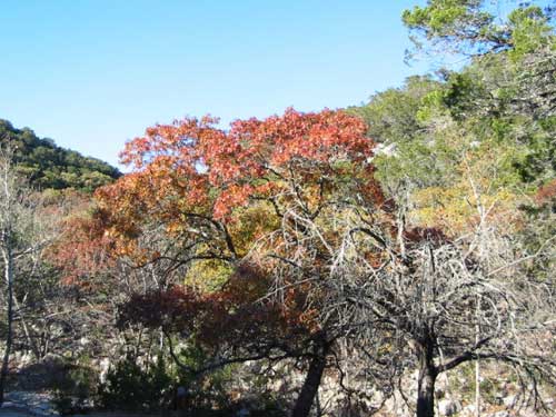 west_trail_03_500x375.jpg