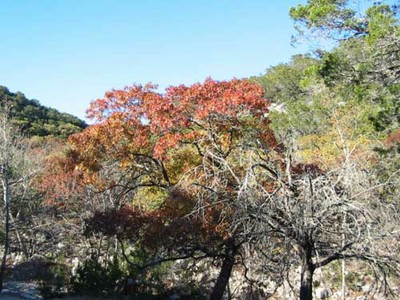west_trail_03_500x375.jpg