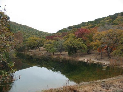 campground_c_500x375.jpg