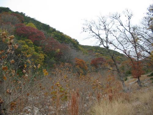 can_creek_500x375.jpg