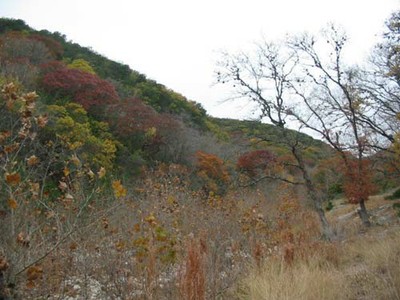 can_creek_500x375.jpg