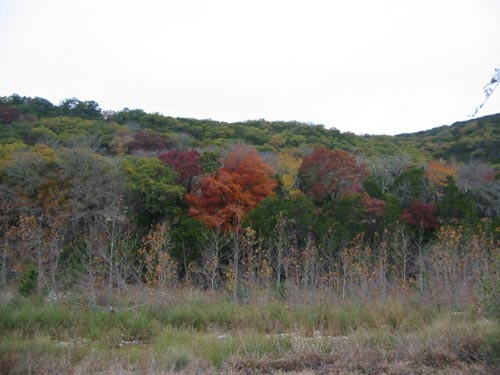 sabinal2_500x375.jpg