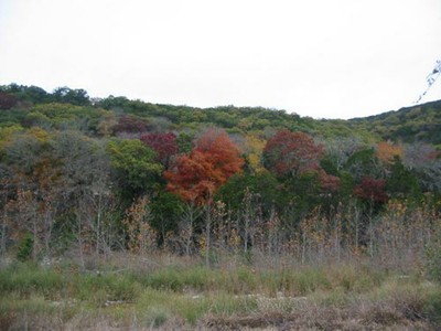 sabinal2_500x375.jpg
