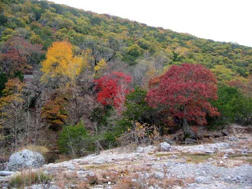 west_trail_500x375.jpg