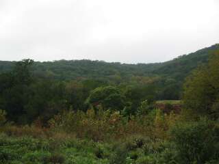 Fall foliage taking on 10/7/09