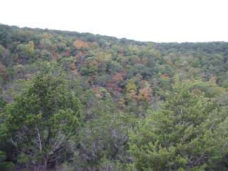 Fall foliage photo 4 taking on 10/21/09