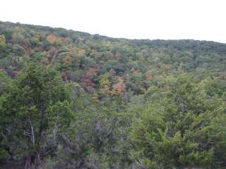 Fall foliage taking on 10/21/09