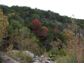 Fall foliage taking on 10/28/09