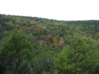 Fall foliage taking on 10/28/09