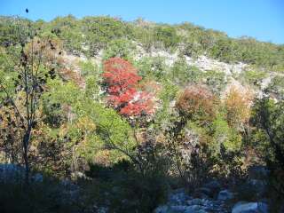 Fall foliage taking on 11/4/09