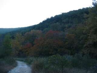 Fall foliage taking on 11/4/09