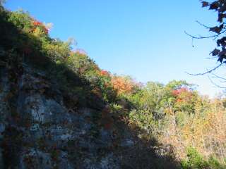 Fall foliage taking on 11/4/09