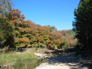 Fall foliage photo 5 taking on 11/4/09