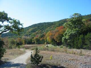 Fall foliage taking on 11/4/09