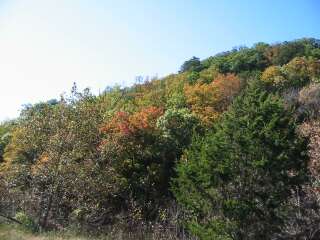 Fall foliage taking on 11/4/09