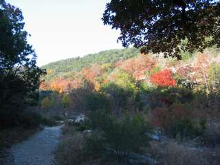 Fall foliage taking on 11/11/09