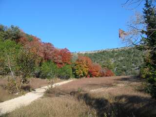 Fall foliage taking on 11/11/09
