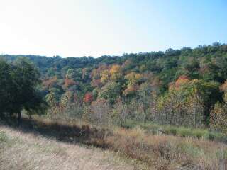 Fall foliage taking on 11/11/09