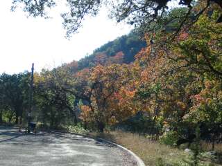 Fall foliage taking on 11/11/09