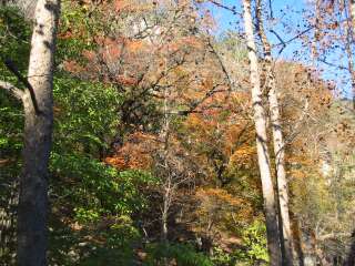Fall foliage taking on 11/18/09