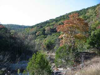 Fall foliage taking on 11/18/09