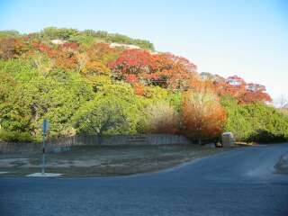 Fall foliage photo 1 taking on 11/25/09