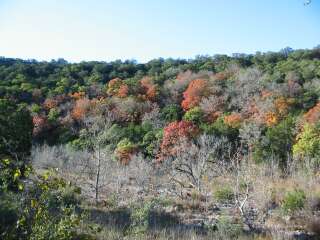 trees with fall colors showing
