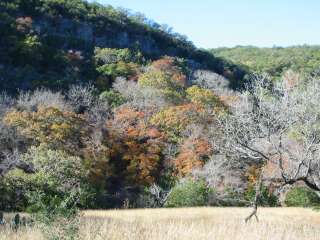 Fall foliage taking on 11/25/09