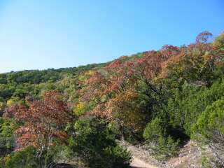 Fall foliage photo 7 taking on 11/25/09