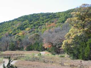 Fall foliage taking on 11/25/09