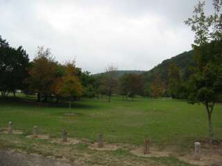 Lost Maaples fall foliage photo taken on October 1, 2009.
