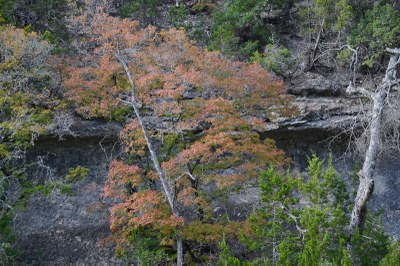 01_800x533.jpg