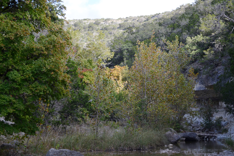 02_800x533.jpg