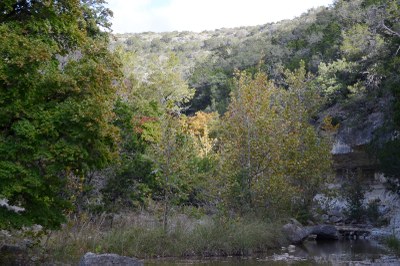 02_800x533.jpg
