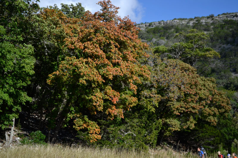 03_800x533.jpg