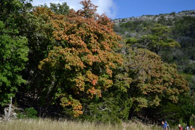 03_800x533.jpg