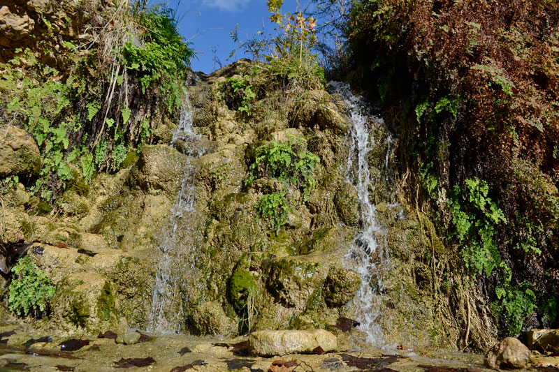 04_800x533.jpg
