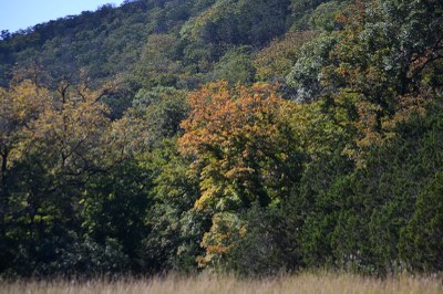 05_800x533.jpg