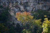 Lost Maples Pic from Oct. 20, 2014