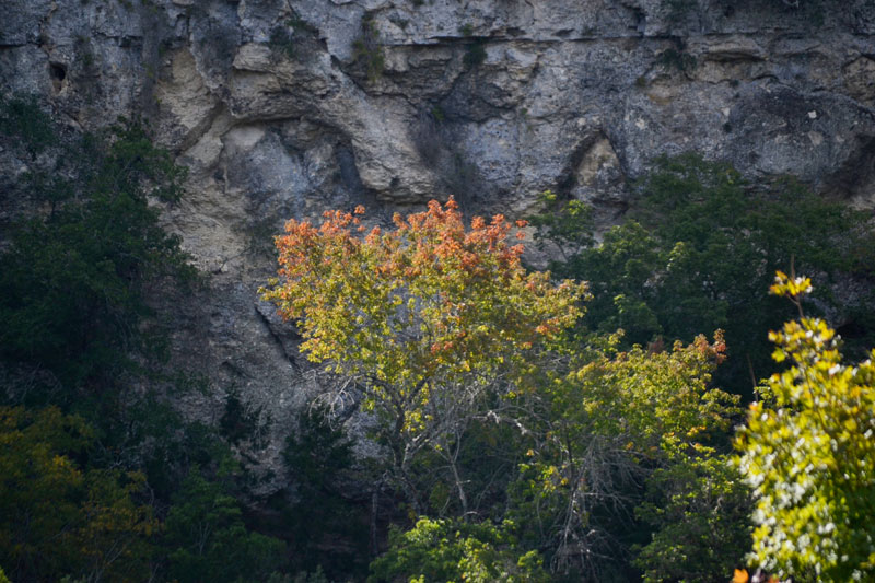 06_800x533.jpg