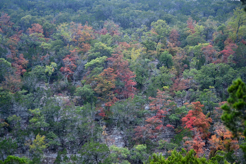 01_800x533.jpg