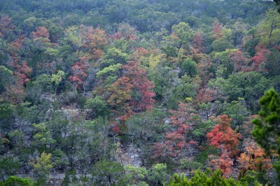 01_800x533.jpg