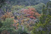 Fall foliage picture from October 27, 2014