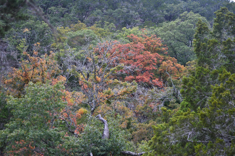 02_800x533.jpg