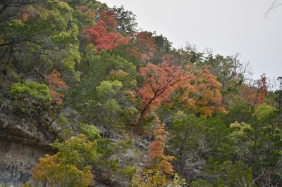 03_800x533.jpg