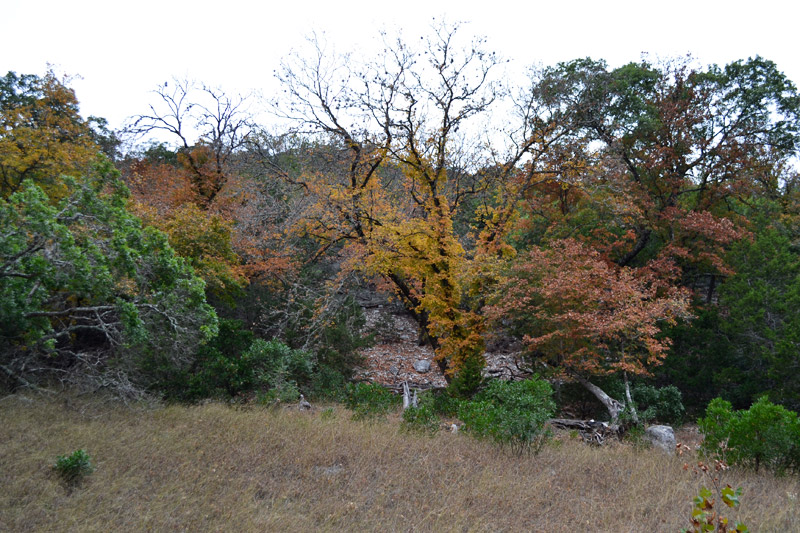 01_800x533.jpg