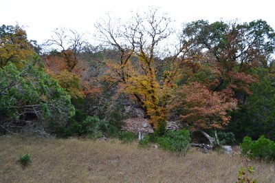 01_800x533.jpg