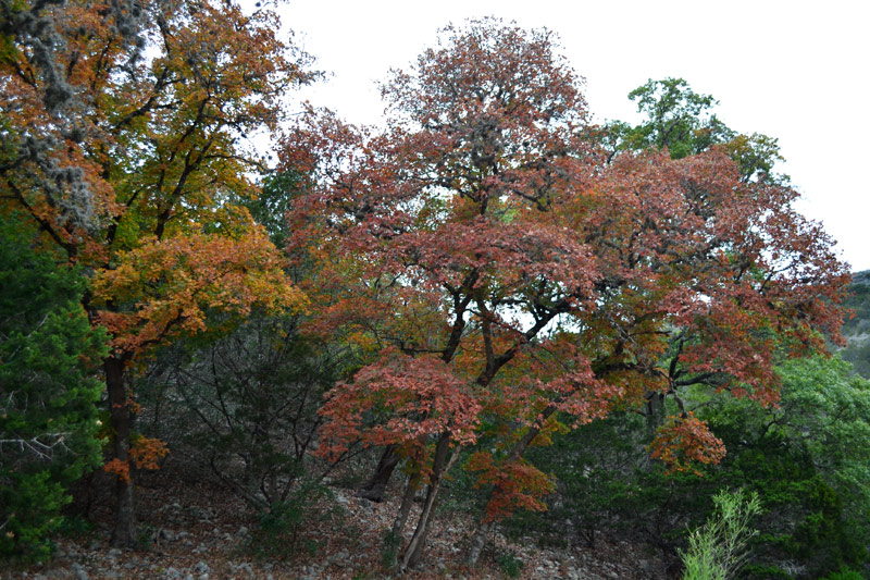 02_800x533.jpg