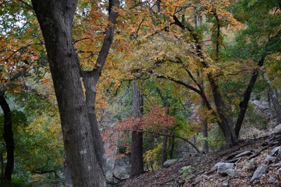 03_800x533.jpg