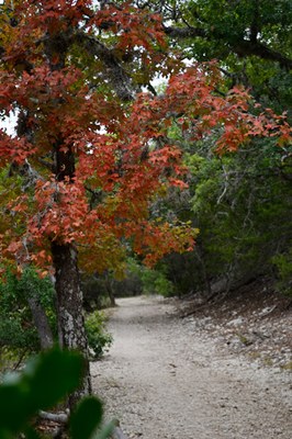 05_355x533.jpg